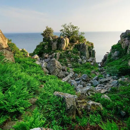 Standard With Small Kitchen, *